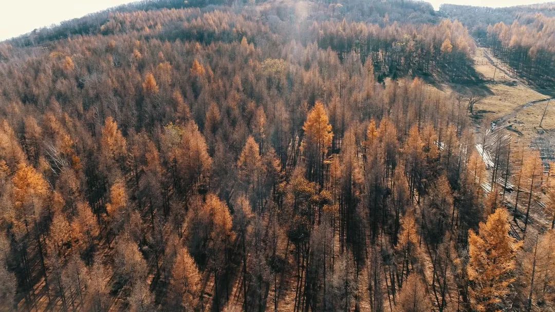 他用9年颠覆一个行业模式，获得千万财富的背后竟是因为花样折腾