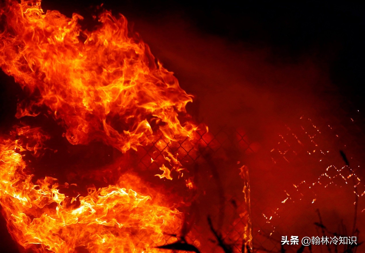 加州的经济有多发达,美国加州和纽约州哪个经济强