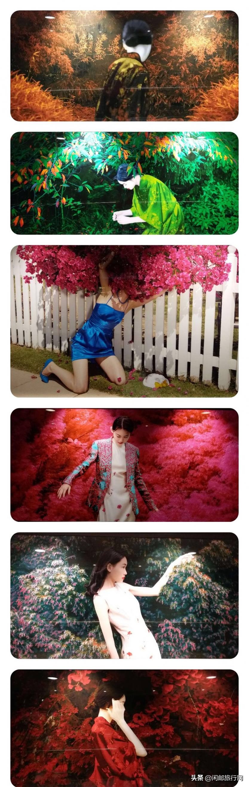 海洋光谱号自由行,海洋光谱号体验之旅