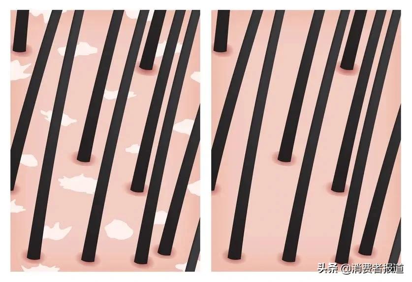 人类是怎么驯服狼的,人类怎么驯服鬣狗