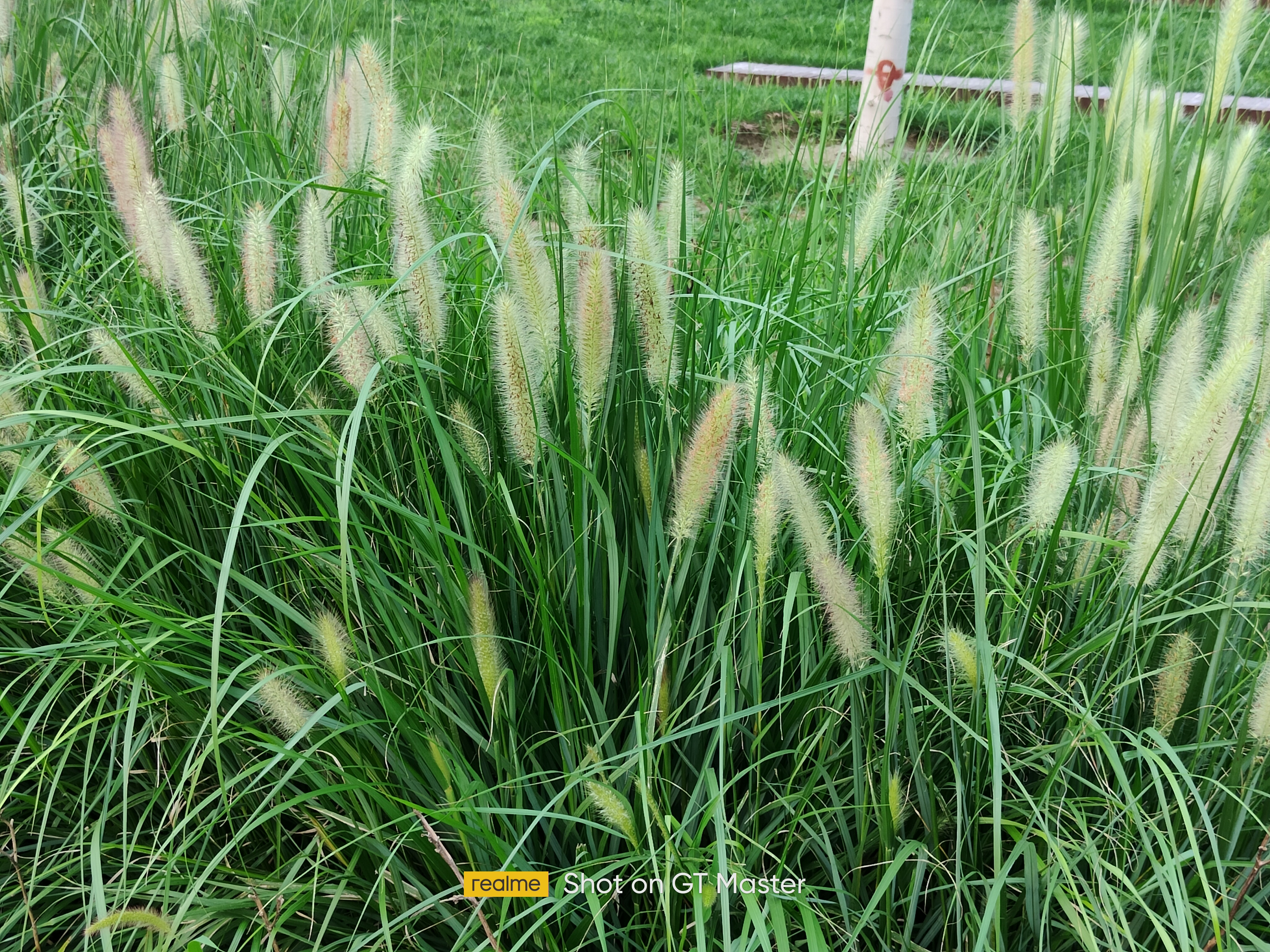 realme真我gt大师版白色开箱,realme真我gt大师探索版测评