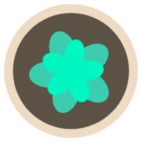 多肉长气根的原因及治疗,为啥多肉杆上长须根