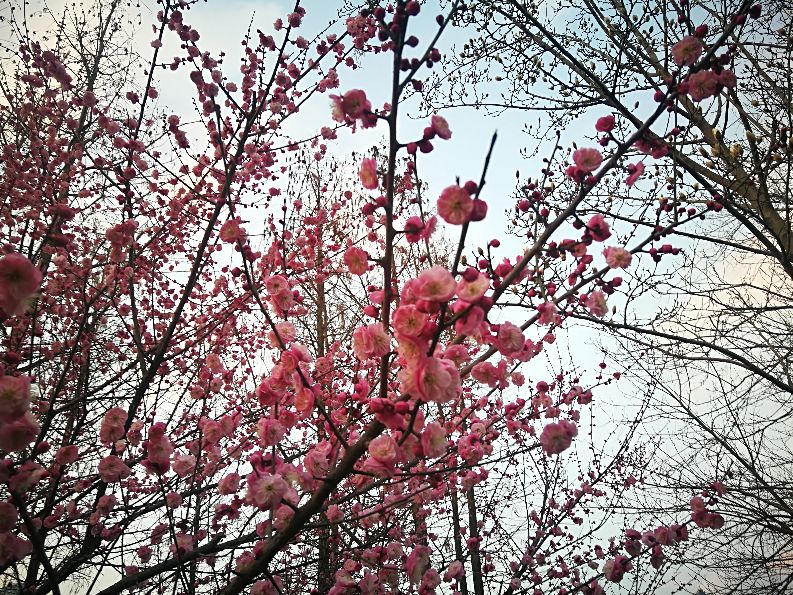 漫步河畔公园全景图,漫步公园美景