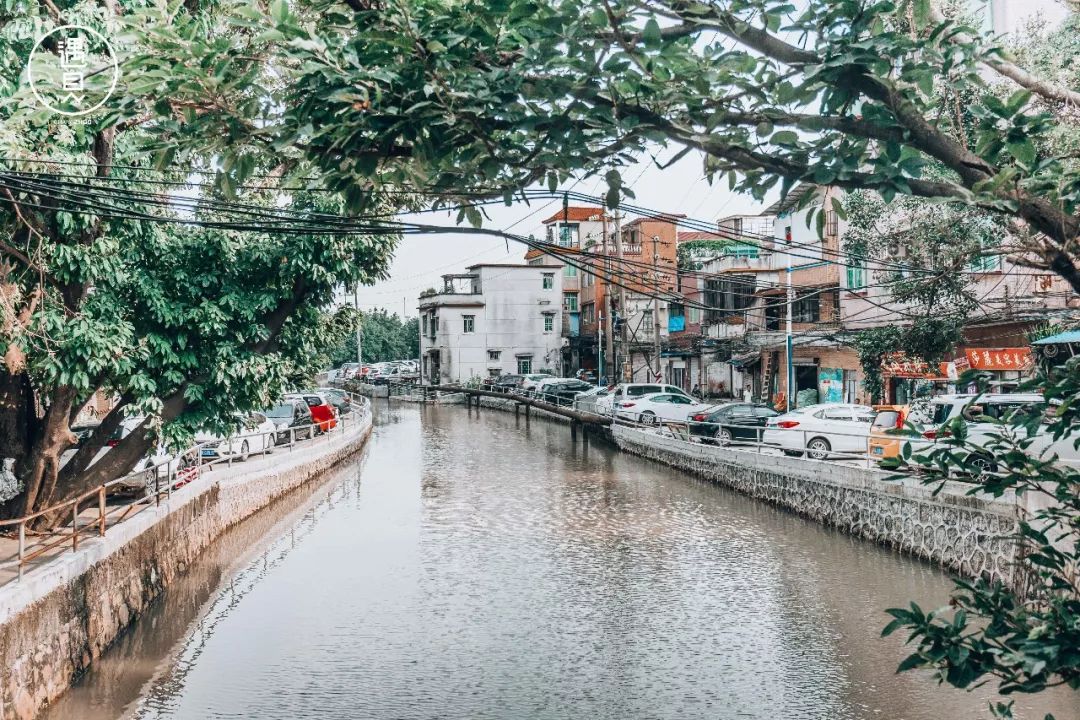 再见了沥川原唱视频,再见王沥川完整视频