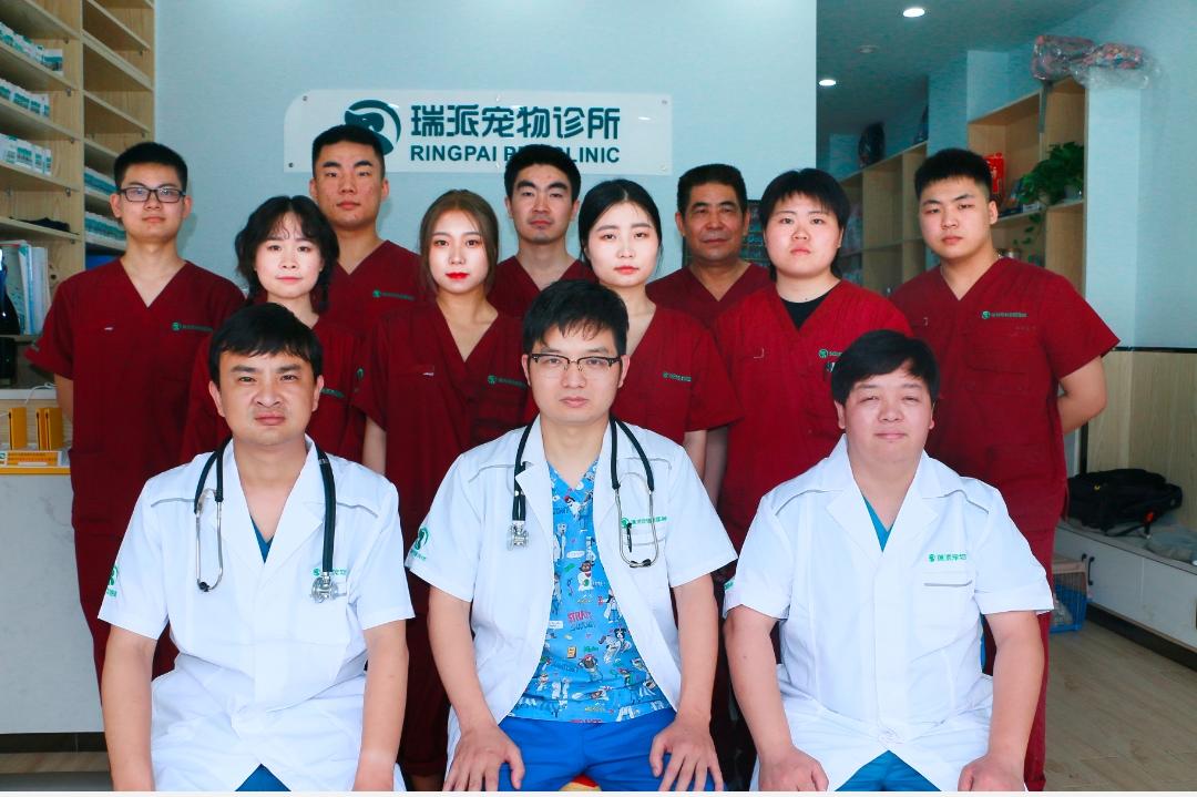 上海路的宠物医院有哪些,上海最好的宠物医院老西门