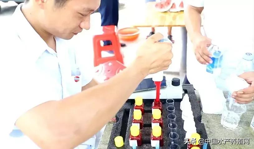 曾经生意亏损100万,曾经创业亏损100万