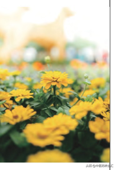 盆底肌锻炼关注哪个小程序,专业女性盆底肌康复指导