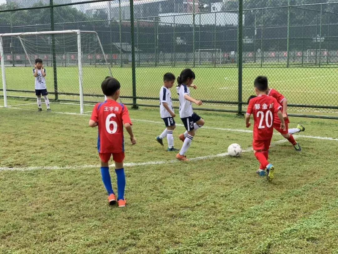 足球俱乐部招生训练营,新希望足球俱乐部