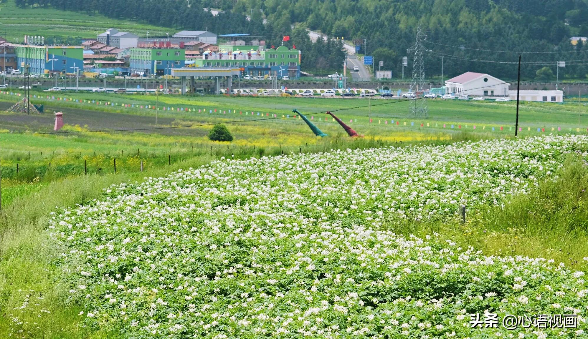 鄂尔多斯三大旅游胜地,鄂尔多斯城市漂亮吗