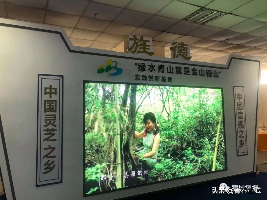 第九届文房四宝文化旅游节开幕式,文房四宝旅游节策划