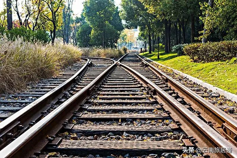 中老铁路昆明到景洪时速多少,中老铁路昆明到景洪多少钱