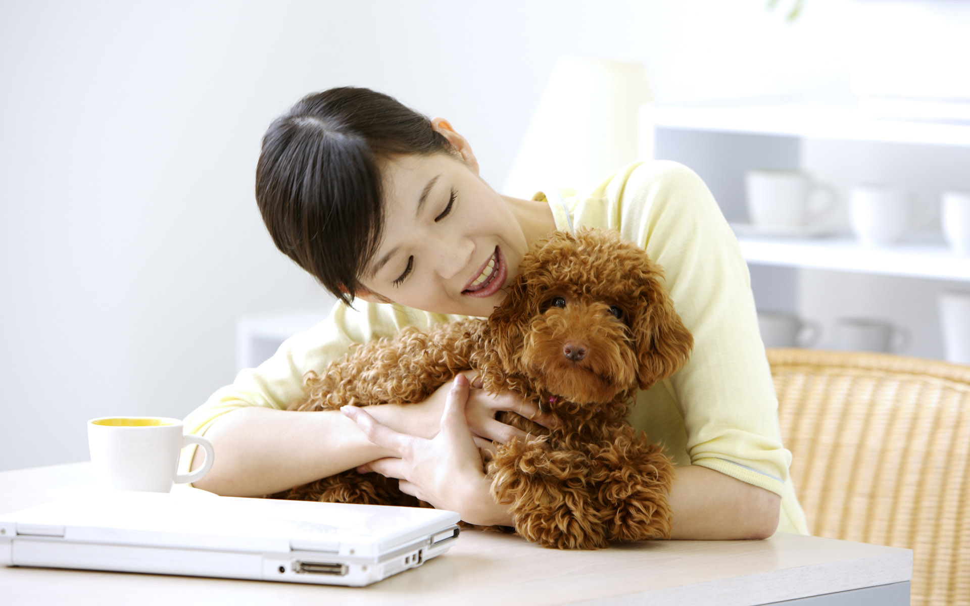 天猫品牌评估已通过怎么办,天猫店铺需要了解知识