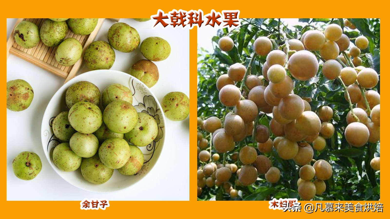 水果百科知识大全水果种类,水果种类大全水果如何分类