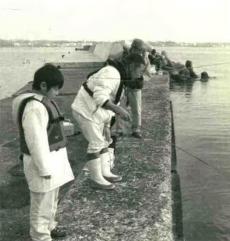 「日本专业矶钓书籍」海鲫富有营养，入门矶钓对象鱼