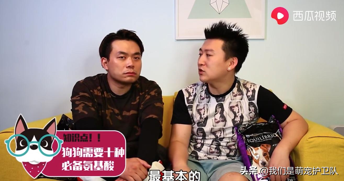 自制猫粮比购买的猫粮好吗,平民猫粮自制狗粮配比表