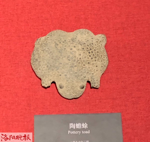 二里头夏都遗址博物馆参观攻略,二里头夏都博物馆镇馆之宝讲解