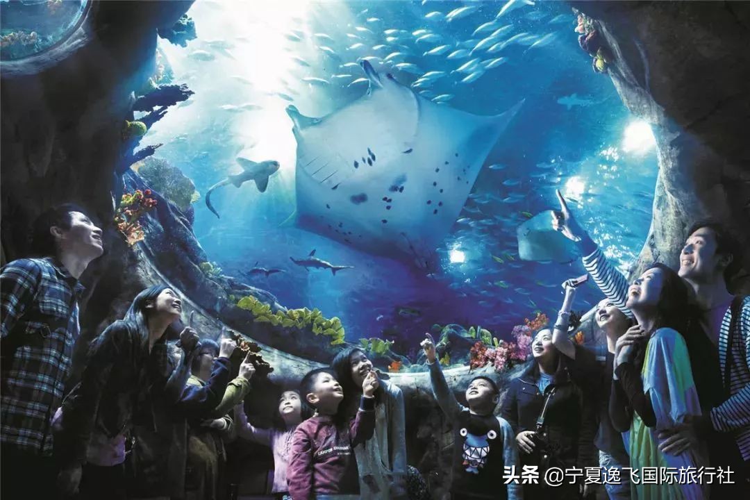 国内最适合带孩子去的十大游乐园,全国适合孩子游玩的游乐园排名