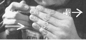 24孔半音阶口琴教学入门,24孔单音口琴的音位排列