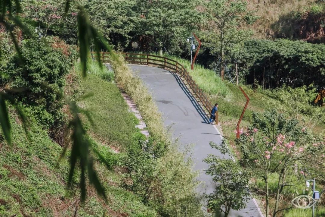 深圳周末浪漫好去处,深圳浪漫约会地点十个景点