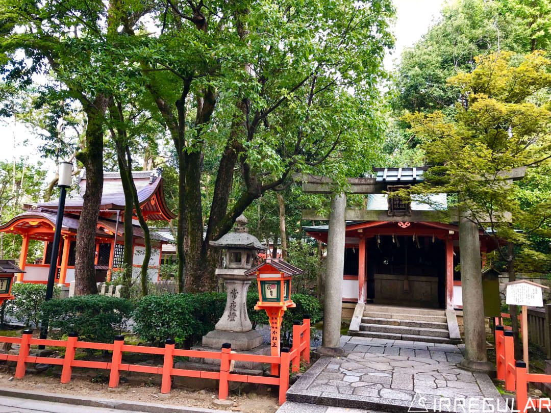 带你去看最真实的日本,带你去看看真实的日本