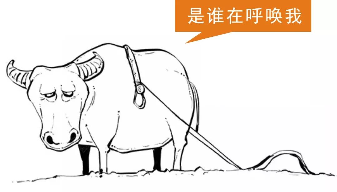 《天府奇谈》|我书读得少你可别骗我