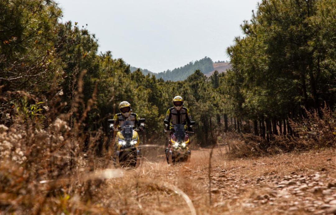 大阳深度评测,大阳解读