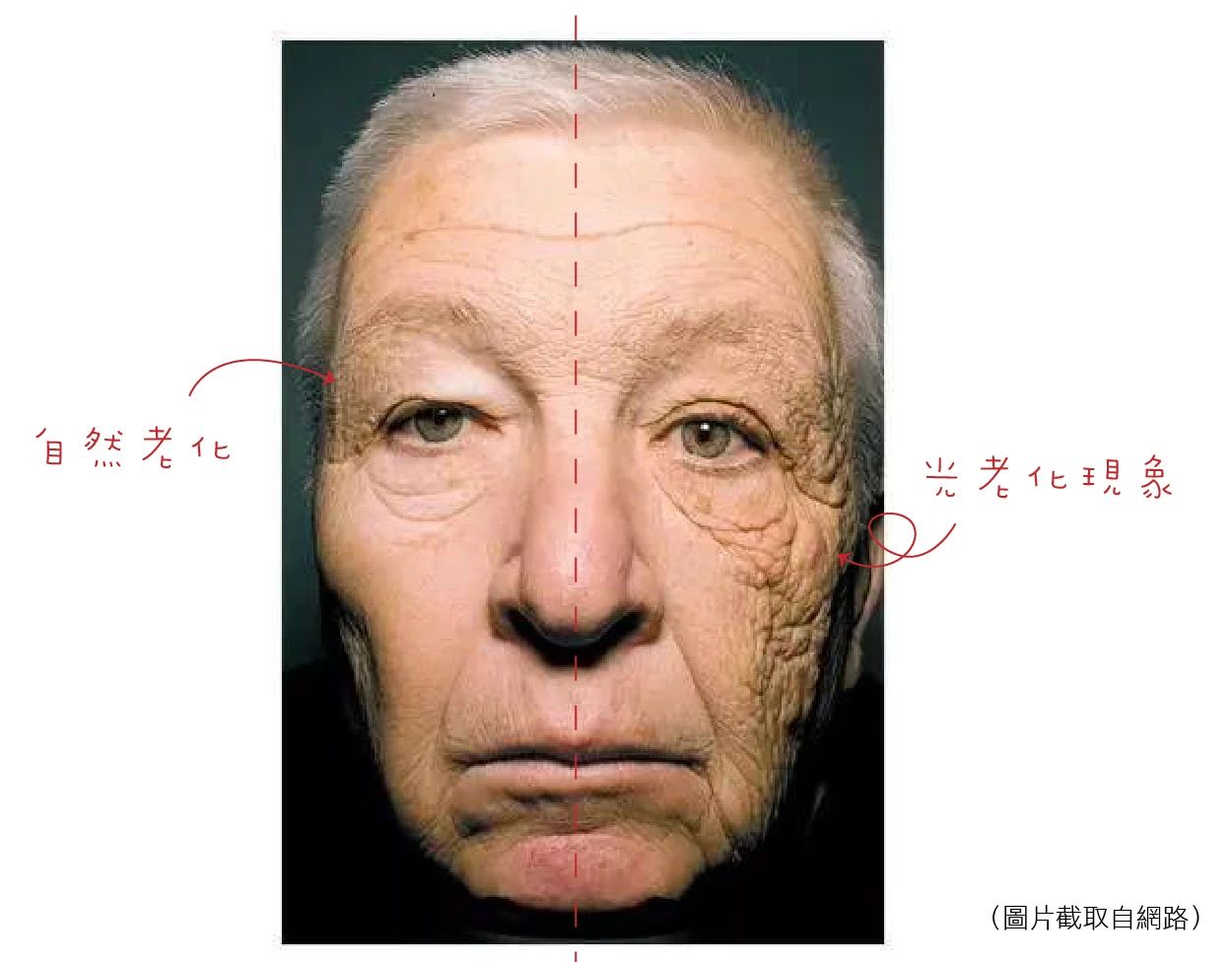 让你白到发光的美白秘籍请收好,关于美白的常识和技巧