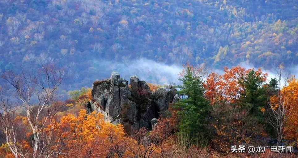这才是冬天该去的地方哈尔滨,这才是避暑游泳玩乐的好地方