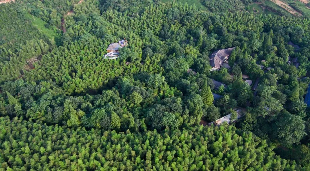 周末游玩优惠票,0元优惠票