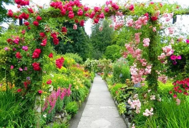 矿坑改造最美公园,矿坑改造湿地公园视频