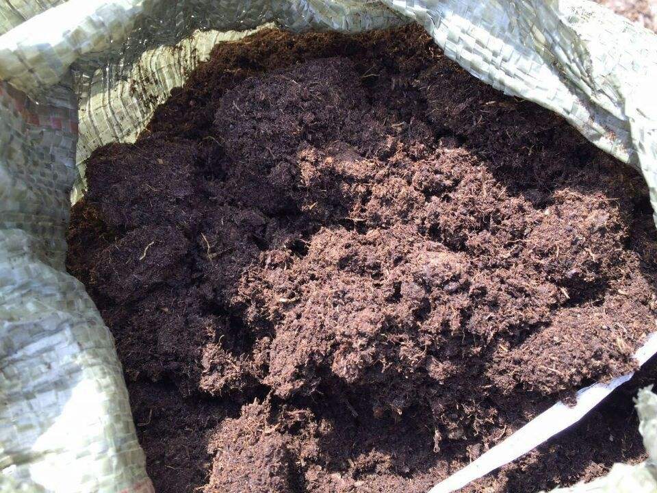 什么土养花最好养活,纯天然肥沃腐叶土需要放肥吗