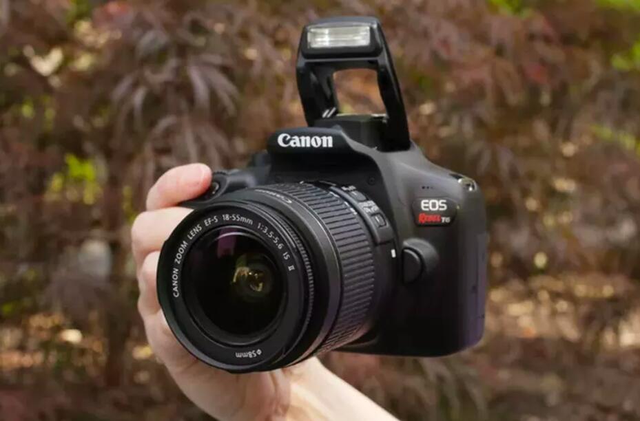 单反相机希望永久保留,单反相机照片突然不见了