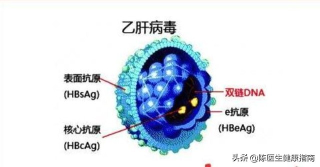 李兰娟乙肝病毒量,李兰娟院士谈乙肝最好的药物