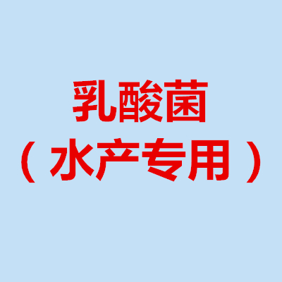 微生物小知识,乳酸菌是什么微生物