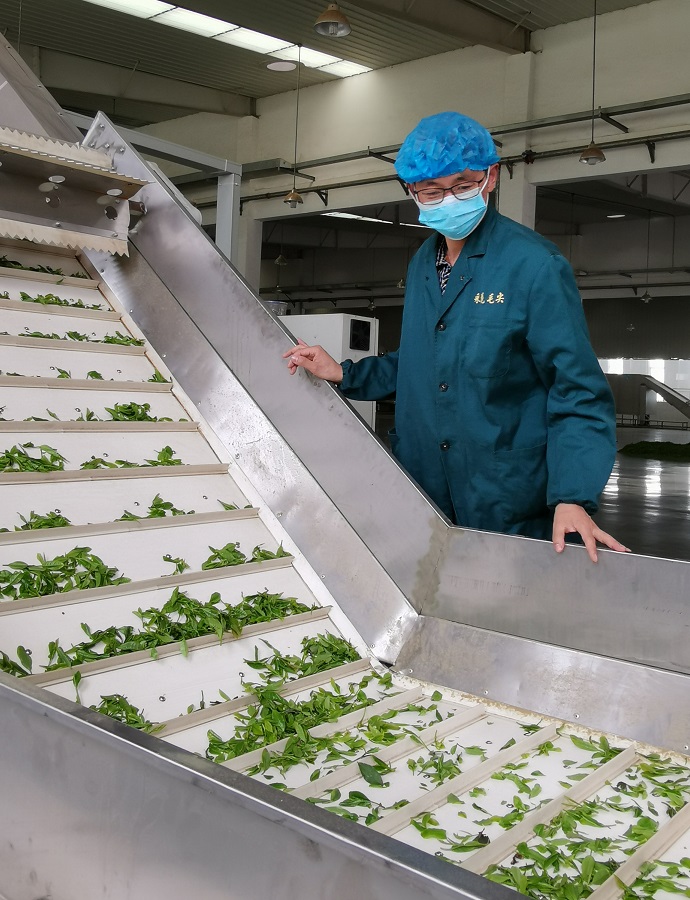 什么是好茶,什么是一款好酒