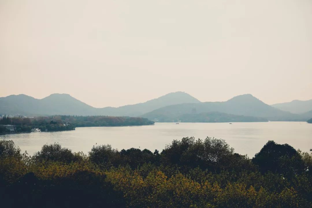 广式早茶最值得吃什么,推荐几种必吃的广式早茶