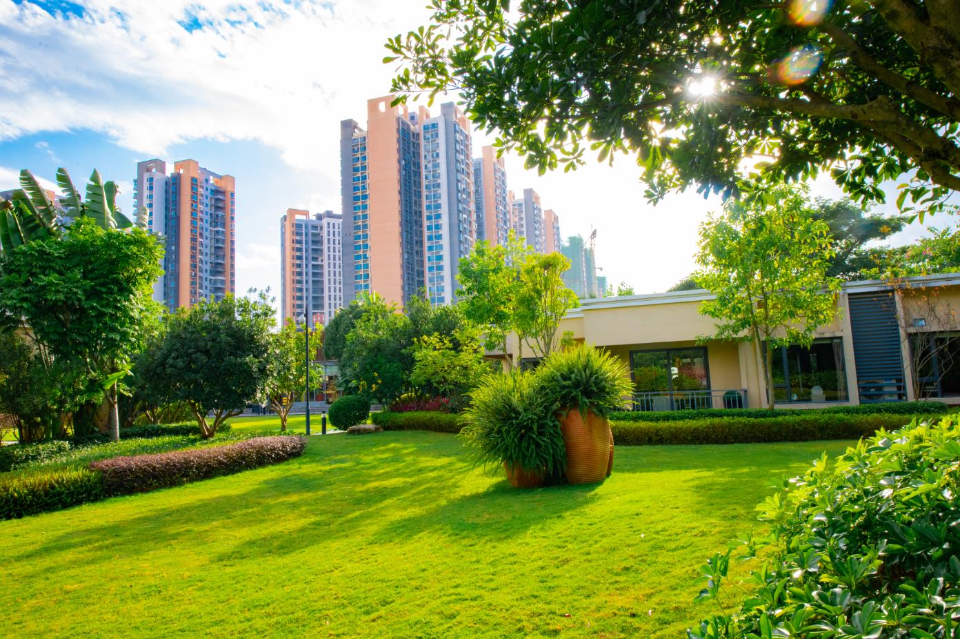 浜戝崡浣犲ソ,浜戝崡浣犲ソ姝屾洸