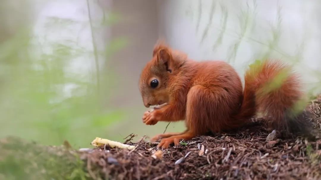 葬礼当天，她成为了四个孩子的“后妈”，网友：这是童话故事吧