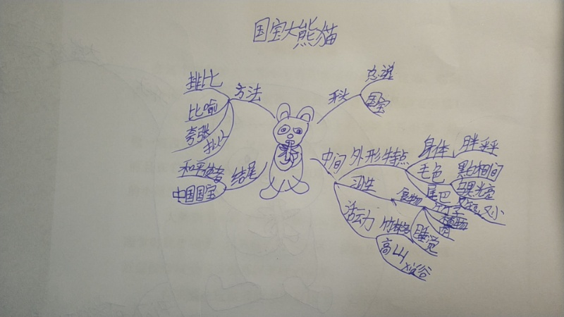 国宝大熊猫习作300个字三年级下,画国宝熊猫作文三年级400个字