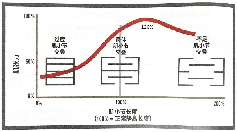 深蹲腰痛怎么办,深蹲腰痛怎么练腿