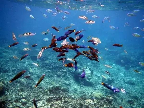 马来西亚沙巴旅游最新攻略,马来西亚沙巴旅游攻略自由行