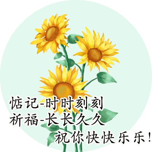 美女游戏里的表情包,美女游戏表情包