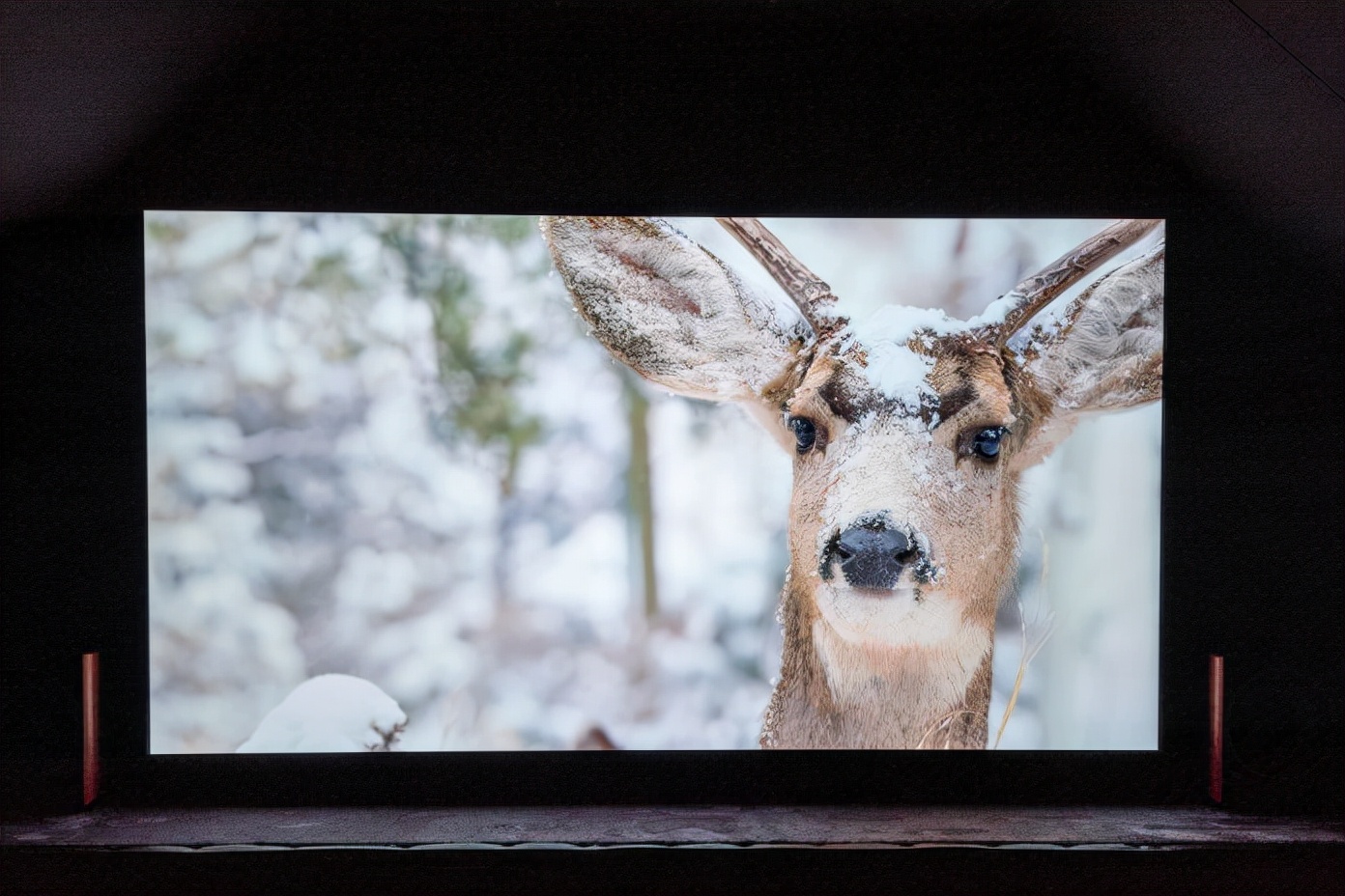 7.2声道全景声家庭影院测试,7.2.4全景声家庭影院方案