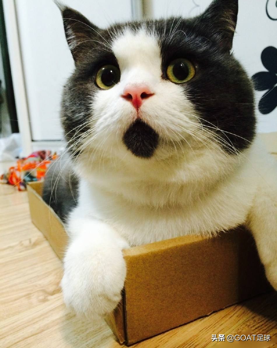 惊呆!盘点世界足坛待业的六大名帅,几乎都曾和巴萨联系到一起