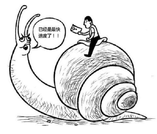 嘉御资本卫哲消费投资能赚钱,嘉御资本创始人兼董事长卫哲