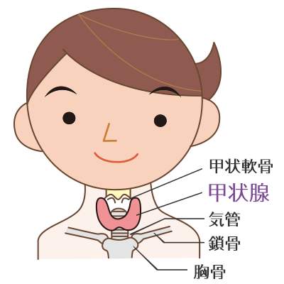 甲状腺癌结节靠近包膜,甲状腺结节离哪儿越远越好