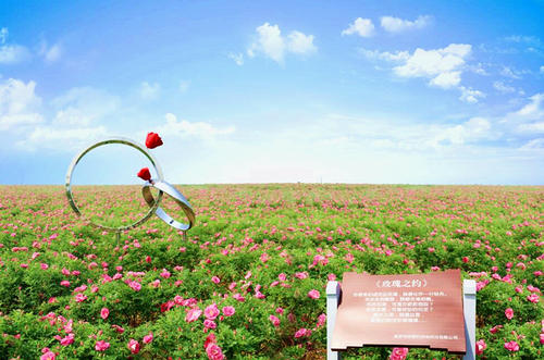 520去哪比较浪漫,520去哪里比较浪漫银川