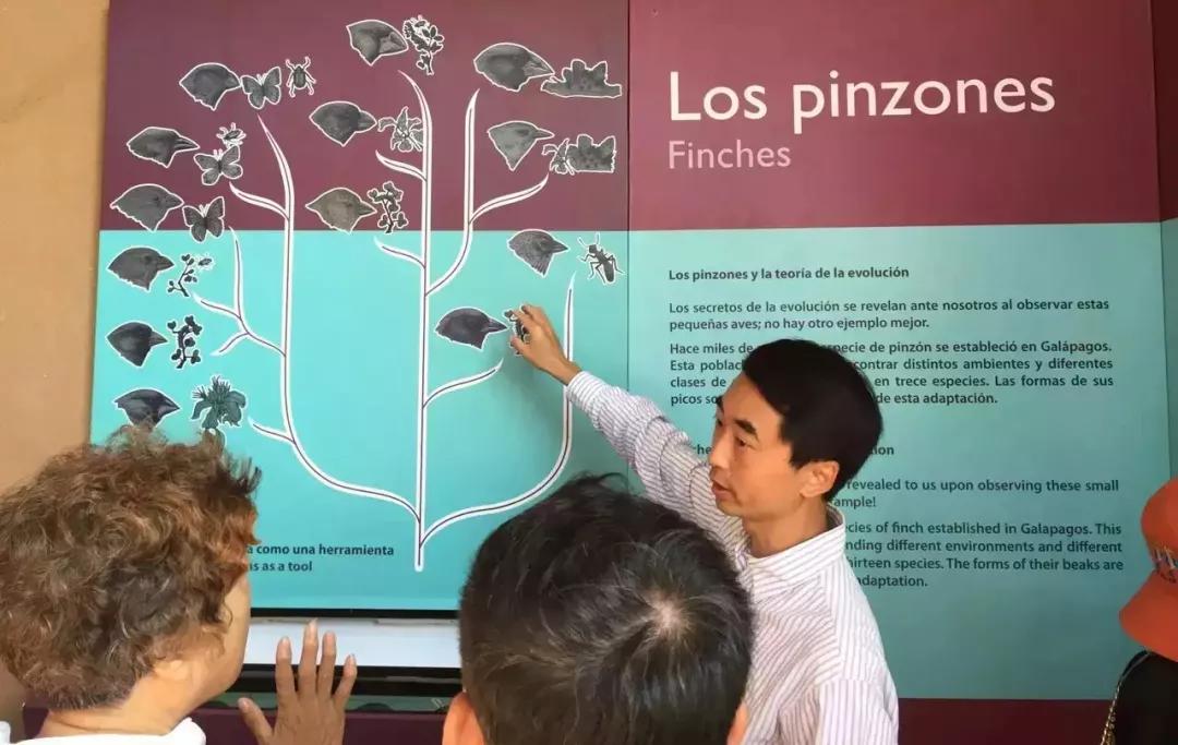 刘润概率思维,刘润打破认知