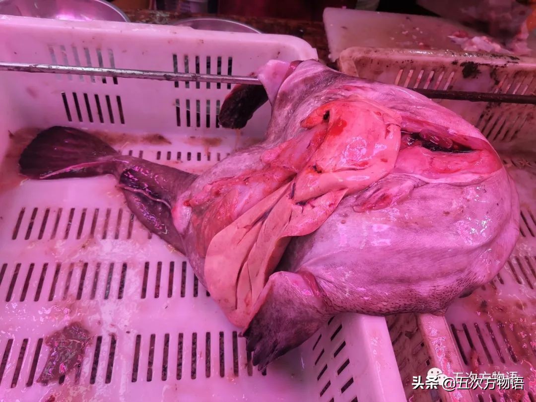 青岛海鲜市场价格表今日,青岛哪个农贸市场海鲜最便宜又好