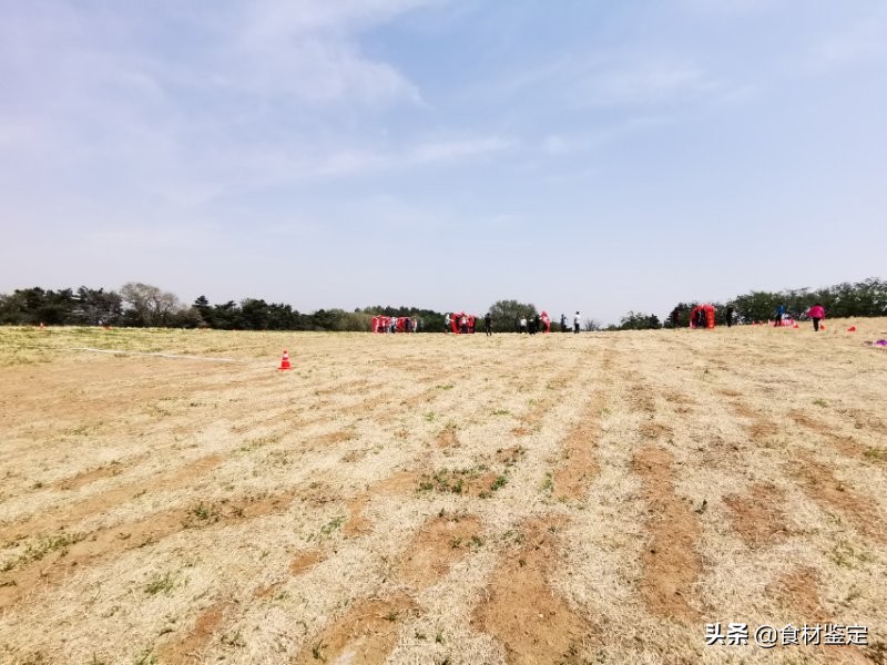 沈阳周边自然风光一日游的地方,沈阳隐秘的地方